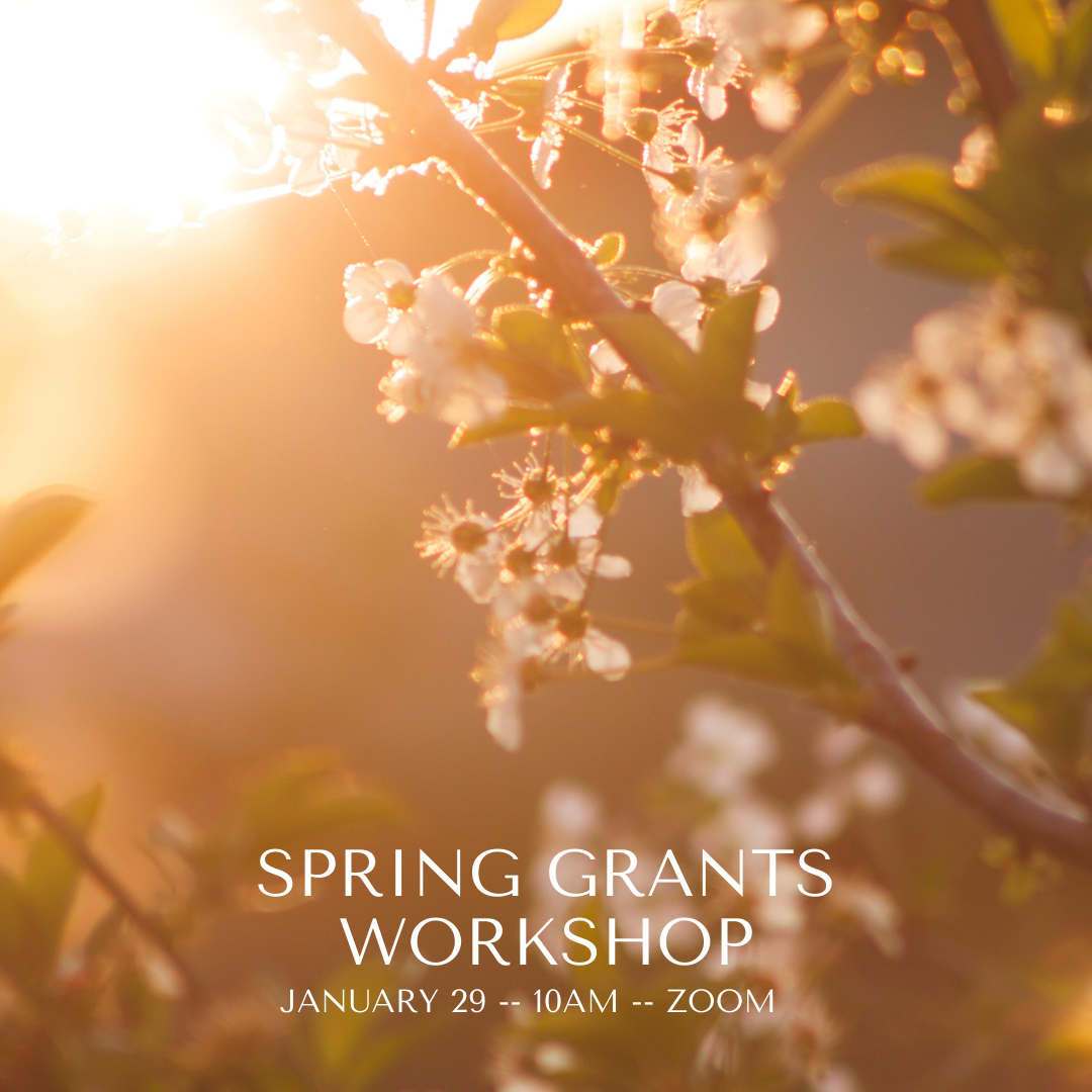 Grants - Community Foundation